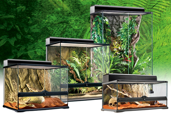 Exo Terra Medium Terrarium - Evolution Reptiles