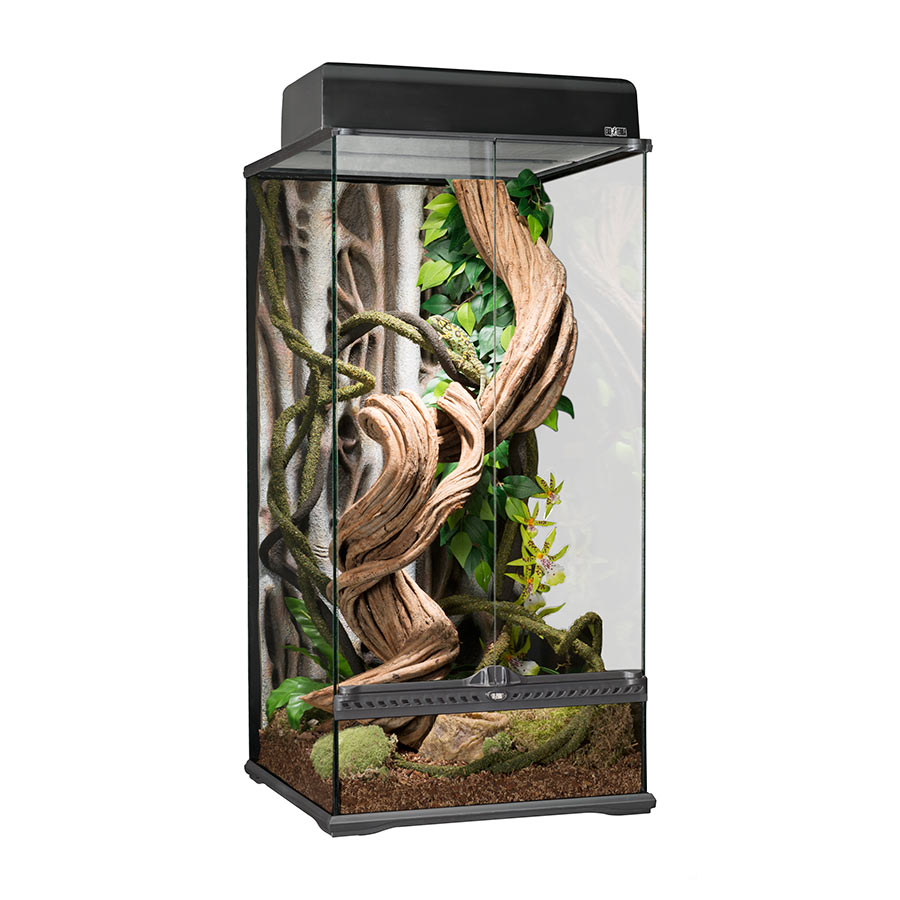 Exo Terra Terrarium Small/X-Tall 45x45x90cm - Evolution Reptiles