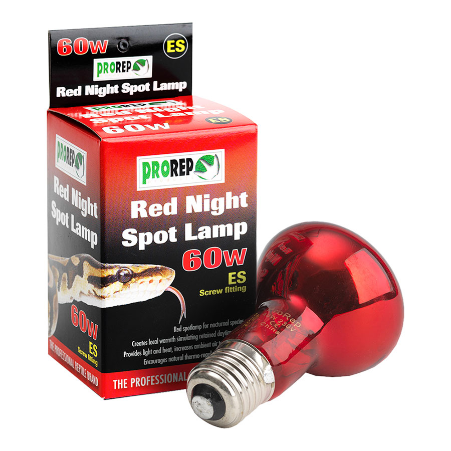 Reptile Lighting Supplies | Evolution Reptiles