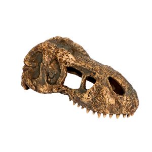 Exo Terra T-Rex Skull Small | Evolution Reptiles