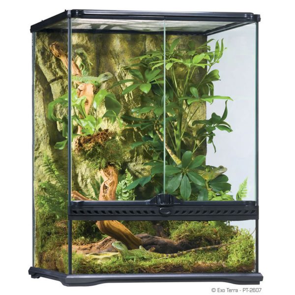 Terrarium vs Vivarium - What’s the difference? | Evolution Reptiles