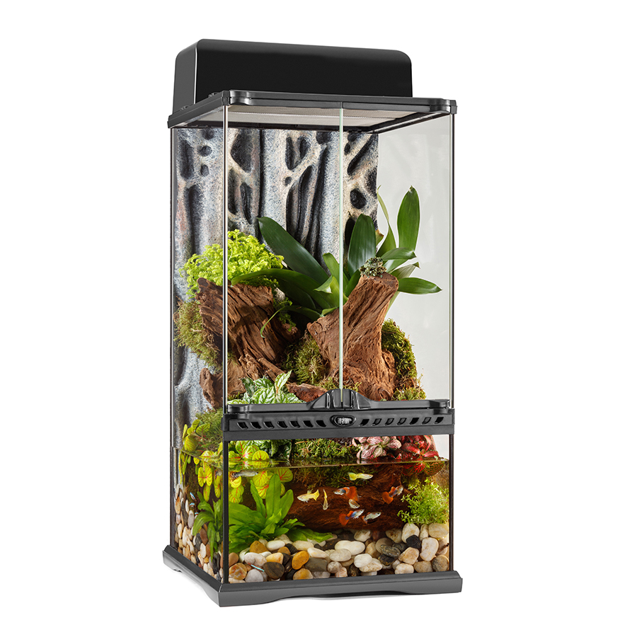 Natura Desktop Terrarium Kit  Shop Terrarium Kits - Glass Aqua