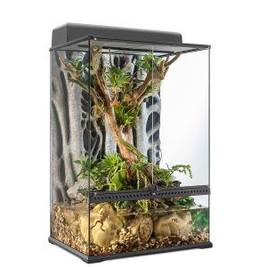 Exo Terra Paludarium Medium/X-Tall 60x45x90cm | Evolution Reptiles