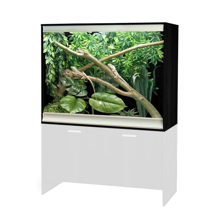 VivExotic Large Arboreal Vivarium | Wooden Vivariums | Evolution Reptiles