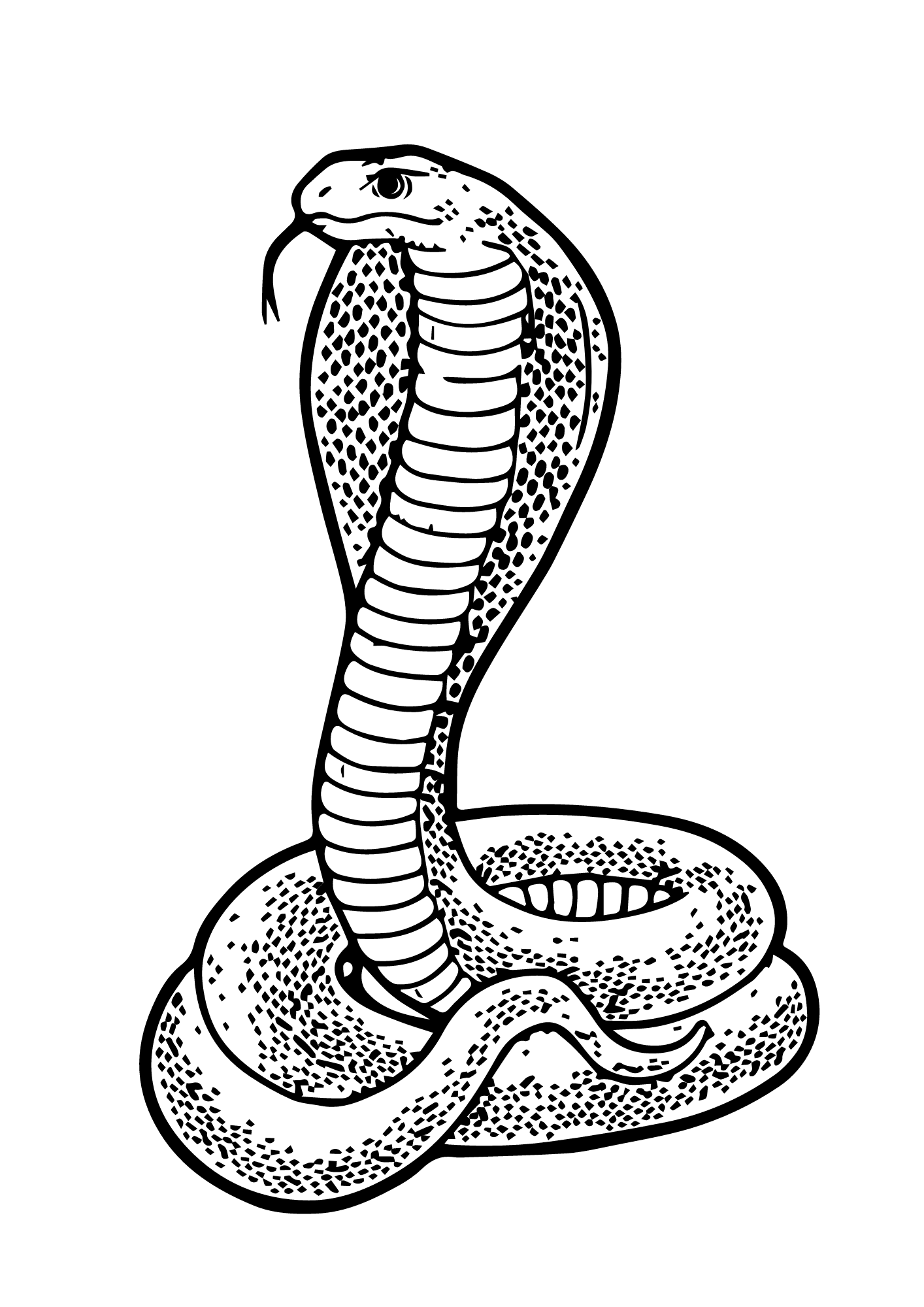 Free Colouring Sheets | Evolution Reptiles