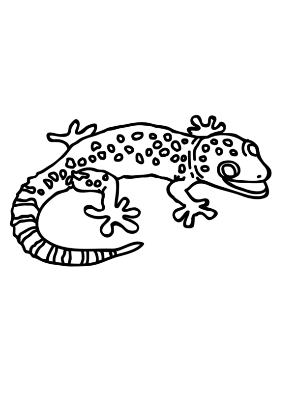 Free Colouring Sheets | Evolution Reptiles