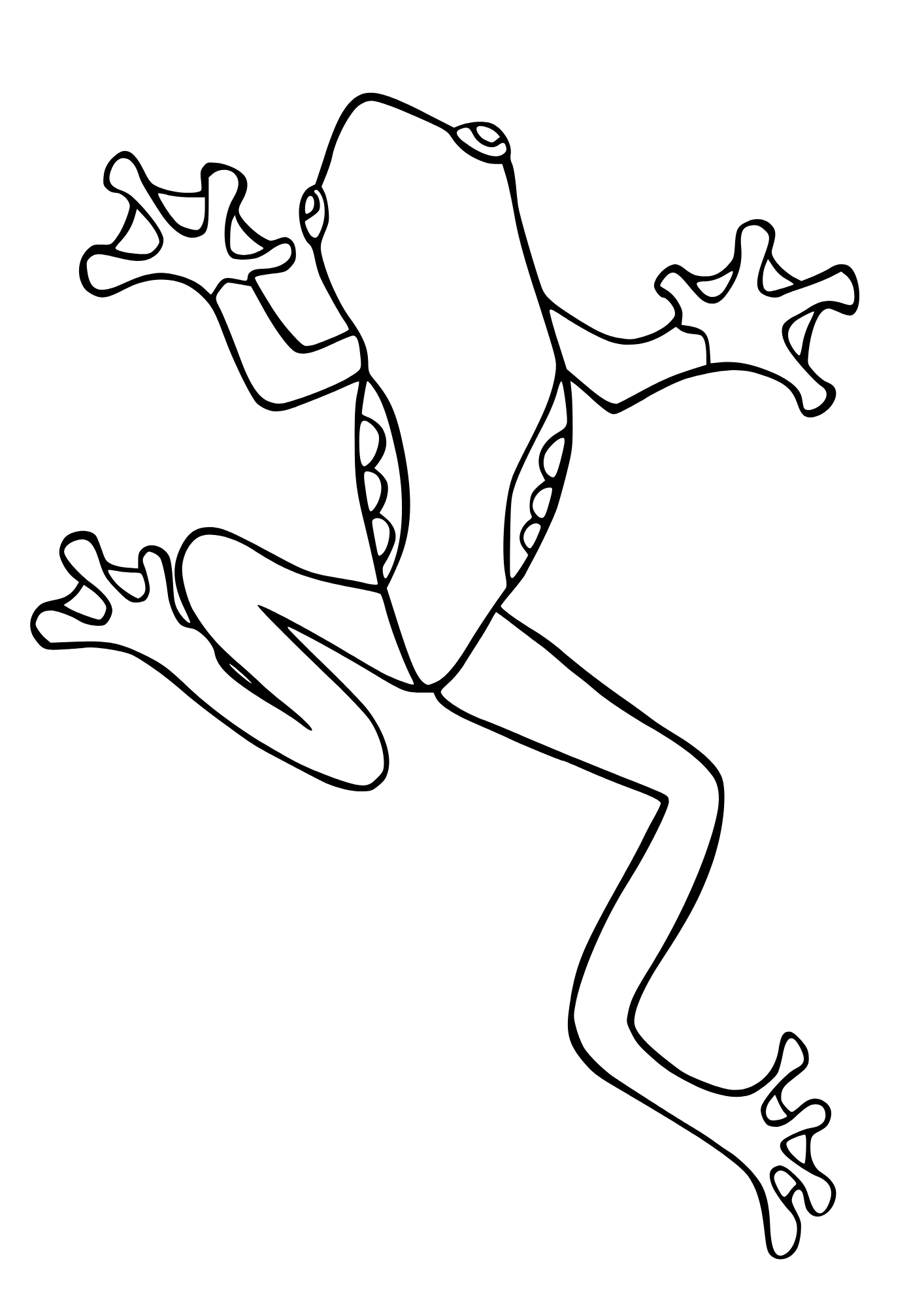 Free Colouring Sheets | Evolution Reptiles