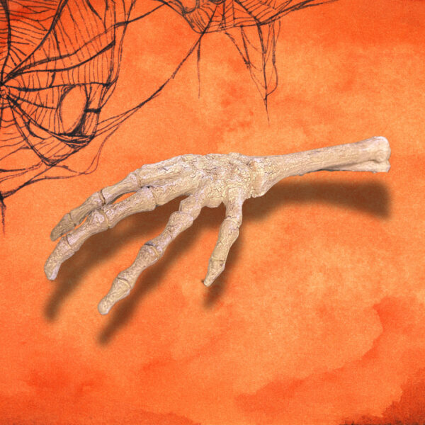 Skeleton Hand