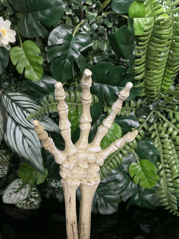 Skeleton Hand