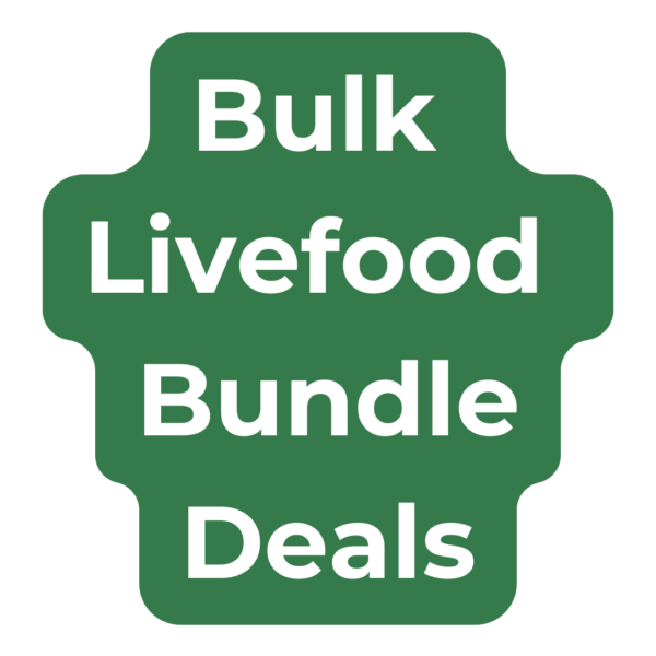 Bulk Livefood Bundles